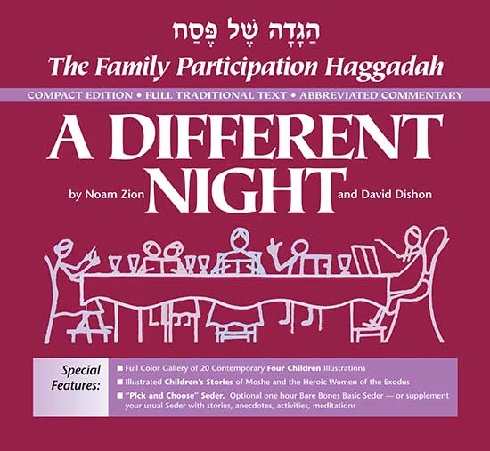 cover for The Family Participation Haggadah: A Different Night, compact edition